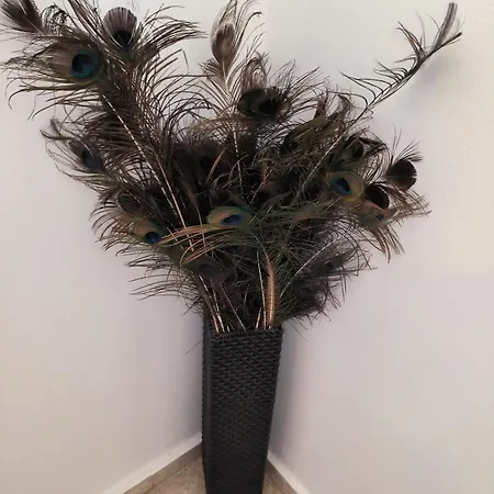 2 Bed Pool And Sea Views In